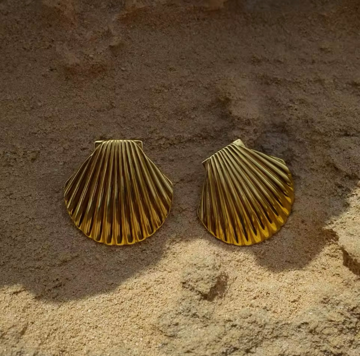 Textured Shell Earrings - 18K Gold Plated Stainless Steel, Waterproof Luxury Jewelry